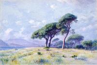 William Stanley Haseltine - Cannes